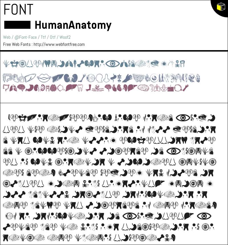 Human Anatomy Fuentes Descargar - WebFontFree.Com